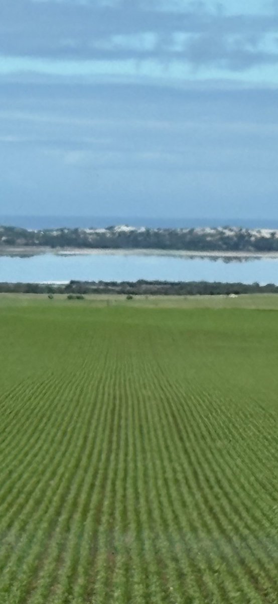 GeoffHull2's tweet photo. They wonder why I froth going spraying on long weekend https://t.co/lD0CfrTjzG