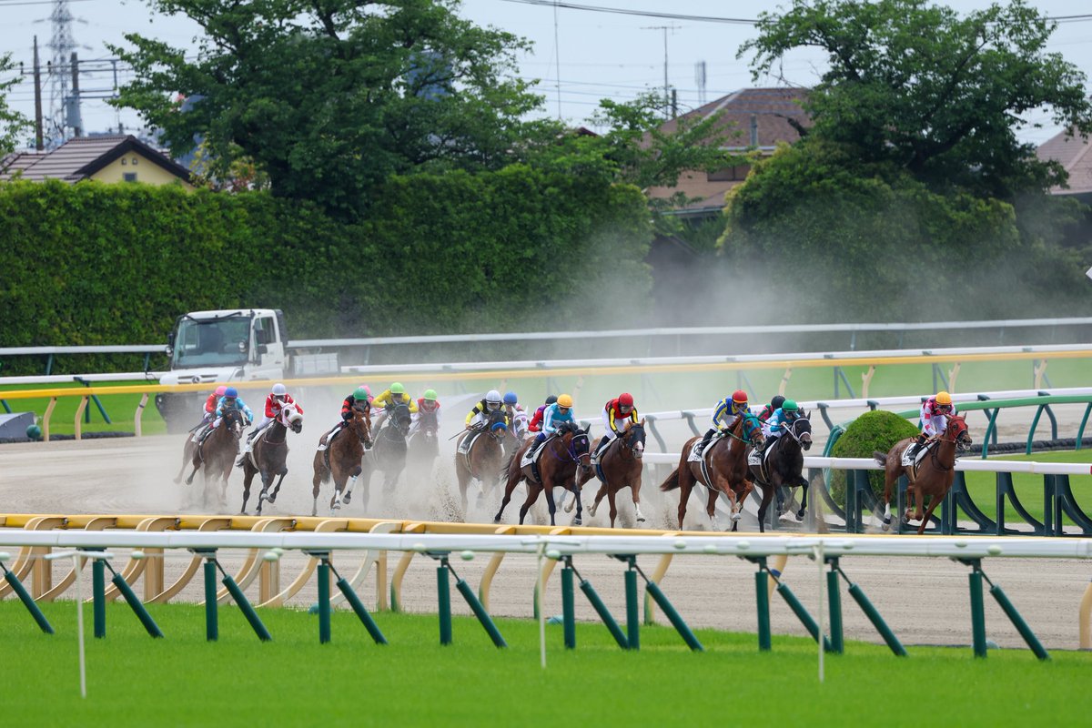 Orfe20122013's tweet photo. Francisco Goncalves🇧🇷🇦🇷 &amp; Mirabillion🐎
May 31, 2026, TOKYO 2R
1400m, Dirt, 3-Year-Olds, Allowance, 5th https://t.co/arVwTP0rcw