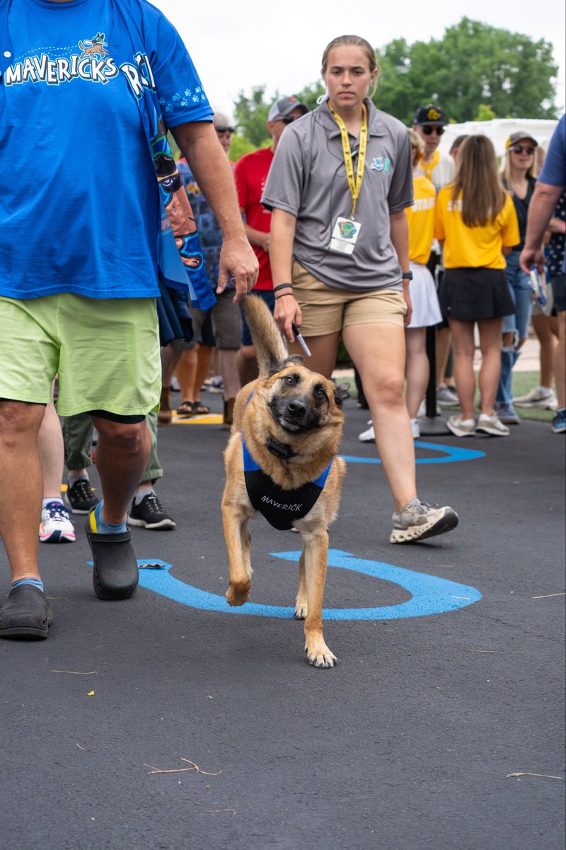 MadisonMallards's tweet photo. Maverick Night: a photographer’s dream 🐕💙 https://t.co/MwYVSYCAGC