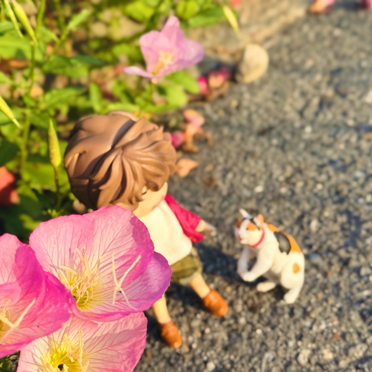 asato8fa's tweet photo. アヅマ https://t.co/qhkYTwlHip
