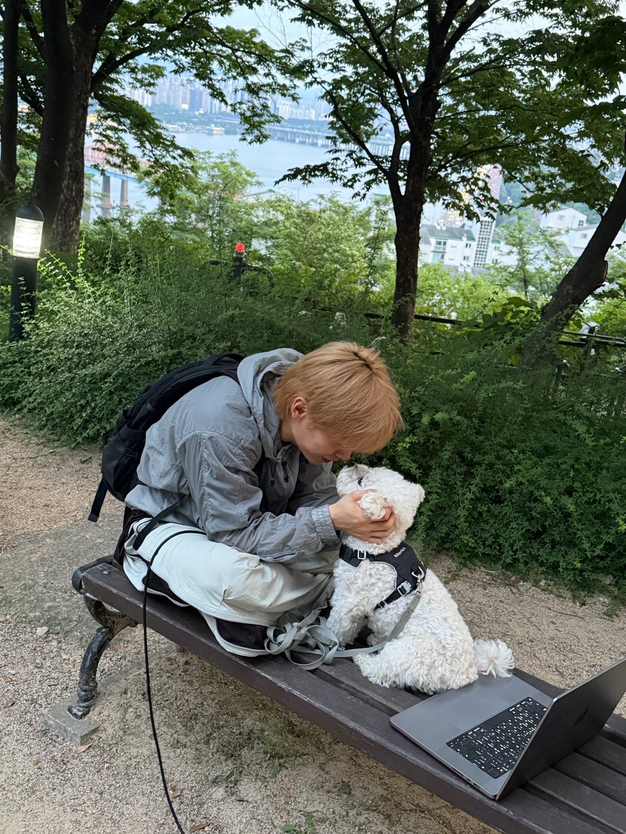 imuucolor's tweet photo. 설부자 보기만 해도 귀엽ㄸㅏ🥹❤️‍🩹 https://t.co/w0k6NZtVN0