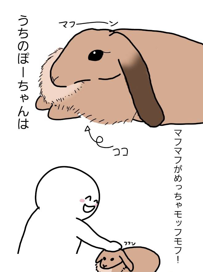 nauiachu's tweet photo. 次女が｢ぽーちゃん🐰の自慢をして！｣と言うので、次女が書いたイラストをのせます🐰
ロップイヤー♀のぽーちゃんです🐰 https://t.co/X3nQwk33Ar