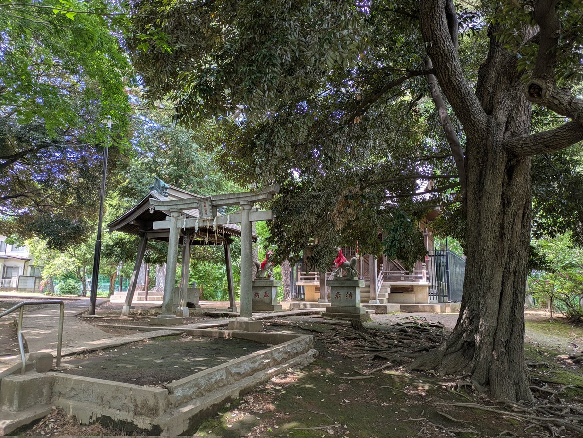 ashita_hyaku's tweet photo. 6/6
練馬区 高稲荷神社
1822年頃より下練馬村三軒在家の守護神として祀られてきたと推定。かつて沼が多く、若者が大蛇に引き込まれたという「高稲荷と大蛇」の伝説が残ってり、村人がその霊を慰めるため、沼を見下ろす崖の上に高稲荷をお祀りしたのが由来とされている、とのこと。
ジョグ：6.2km https://t.co/aGwtfN3qX3