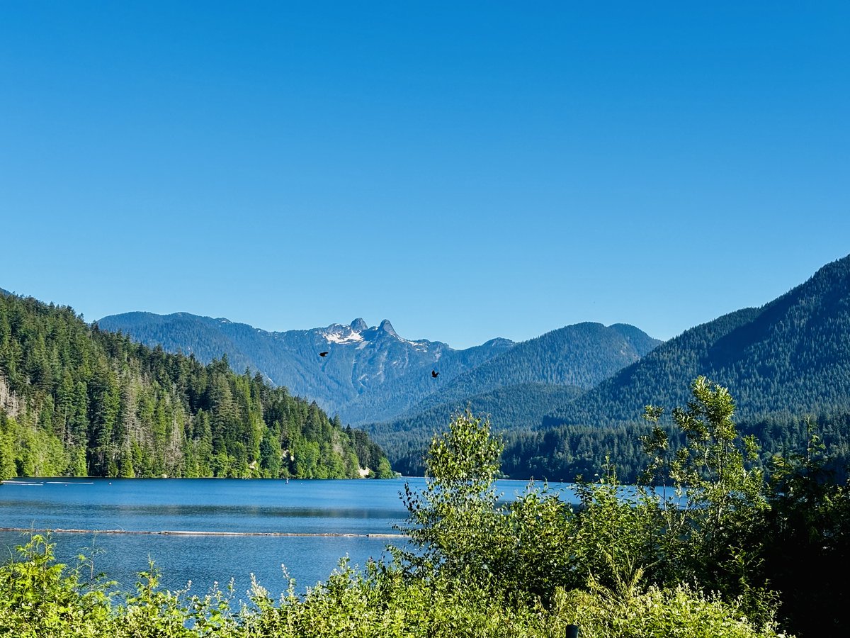 keithmacinnis's tweet photo. North Vancouver's Cleveland Dam - May 2026 https://t.co/WZ3yr2SpmG
