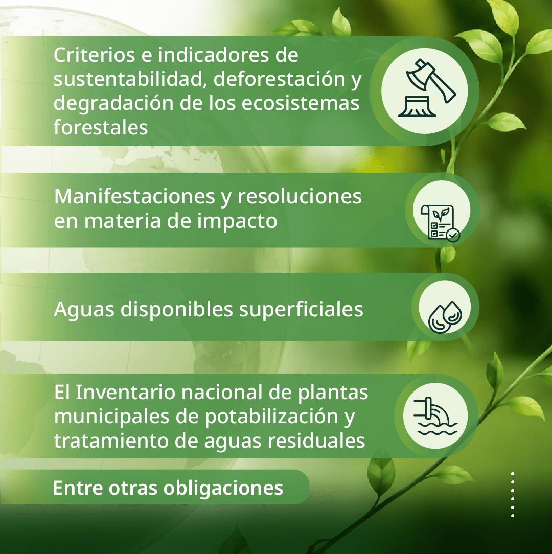 TPPuebloMX's tweet photo. En el #DíaMundialDelMedioAmbiente, invitamos a la ciudadanía a consultar la #InformaciónPública de las dependencias y entidades obligadas a publicar información relacionada con el medio ambiente y los recursos naturales. 🌿📑

Consulta 👉 https://t.co/oMBqn1qbYd https://t.co/Mn2Cq0U4Yt