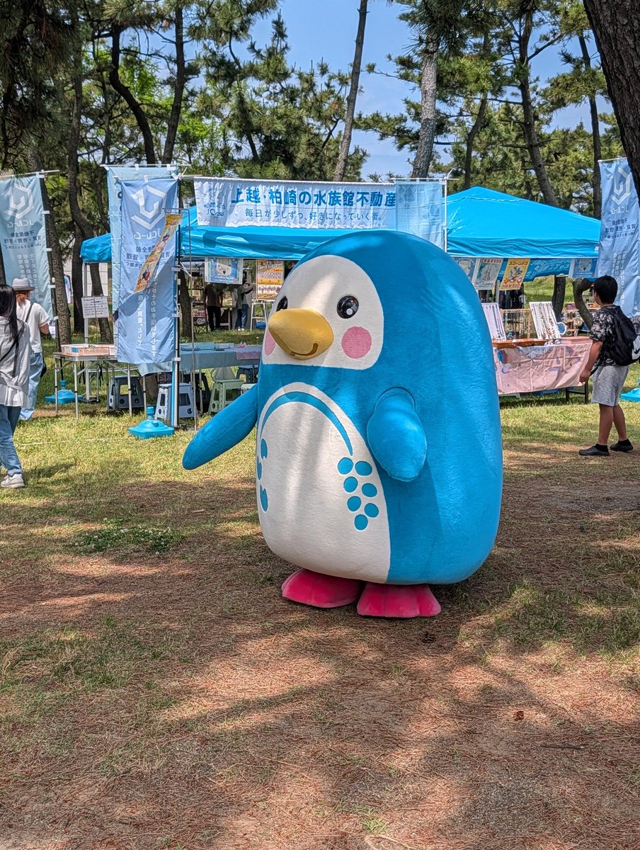 penguinfesta's tweet photo. マゼフェス2026 オープンいたしました！ https://t.co/ESLtCzP91C