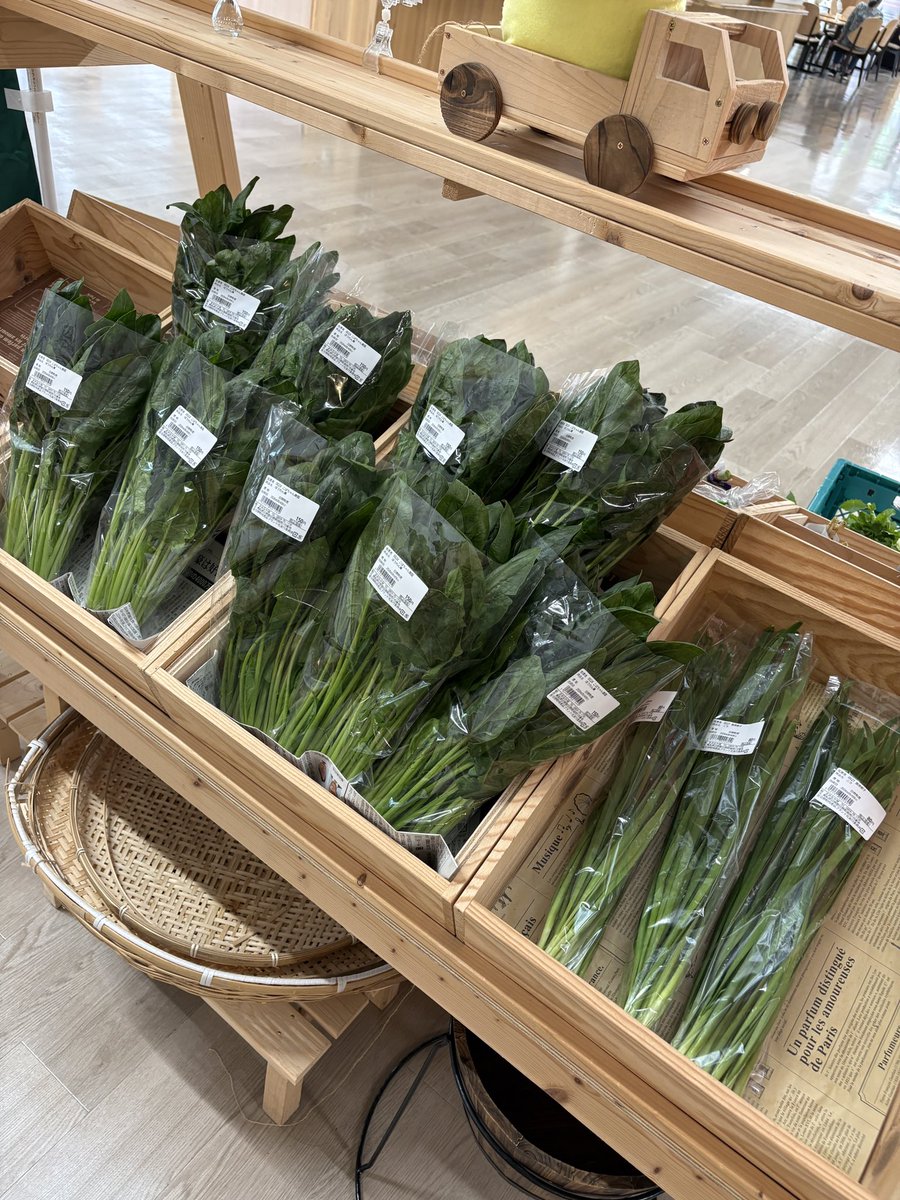 かもちくん（金持テラスひの） (@kamochi_terrace) / Posts / X