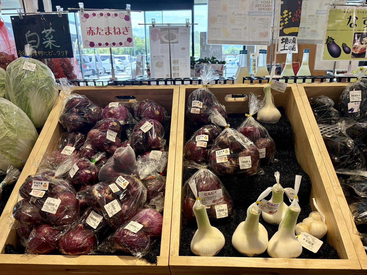 narabunkamura's tweet photo. ＊にぎわい市場情報🥬
今日は少し珍しい野菜、コールラビをご紹介します！
丸くてかわいい形をしています
サラダや炒め物、スープなどにどうぞ🥗
赤玉ねぎや大きなニンニクもたくさんあります🧅
桑の実もいかがでしょうか？
#なら歴史芸術文化村
#交流にぎわい棟　#にぎわい市場
#奈良県 #道の駅 https://t.co/CRfpAQBpnp