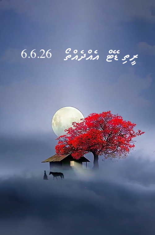 quarn33's tweet photo. https://t.co/ow5sLri0xI