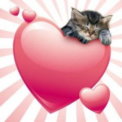 windowsMLG's tweet photo. @PillCaty https://t.co/yjLuoG7oUw