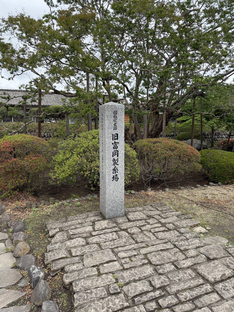 かっぱぁ tweet media