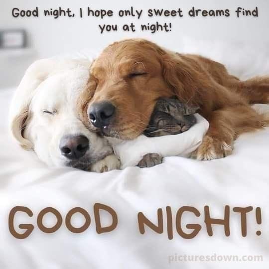 Sarah65VA's tweet photo. https://t.co/ePIiD3TAuy