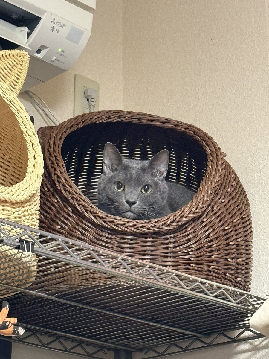 110akito's tweet photo. https://t.co/HaVHxhBMvJ