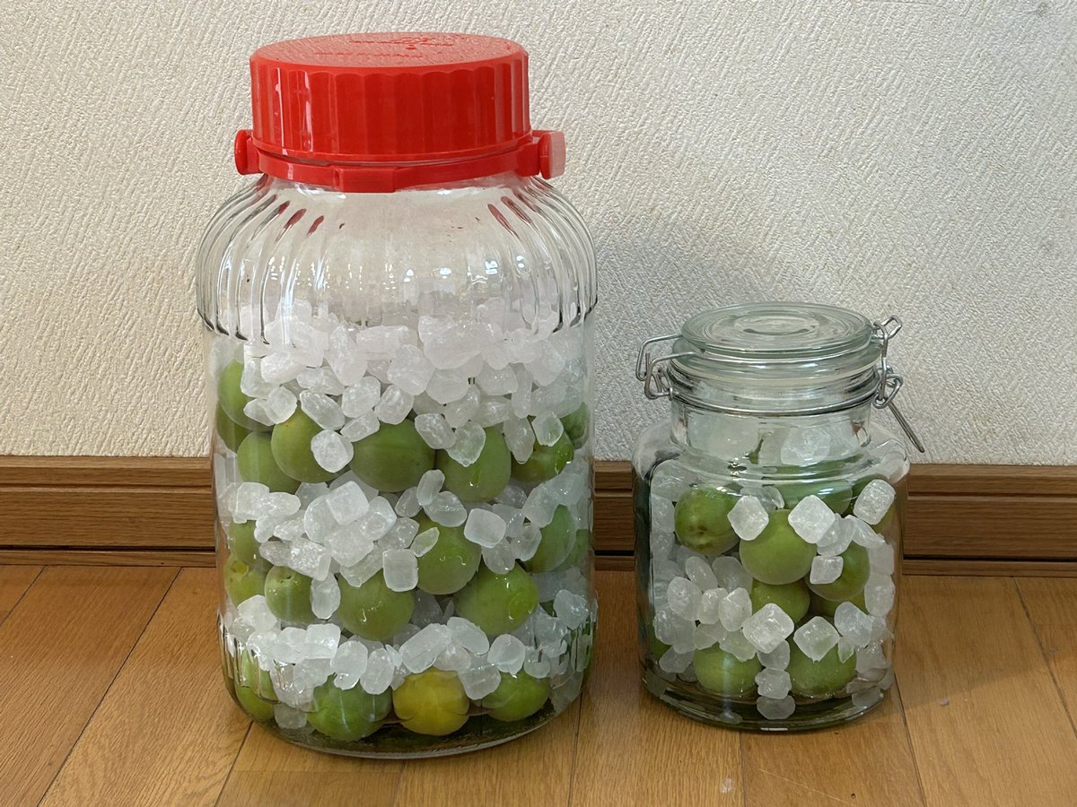 ふーみんP (@fu_min_p) / Posts / X