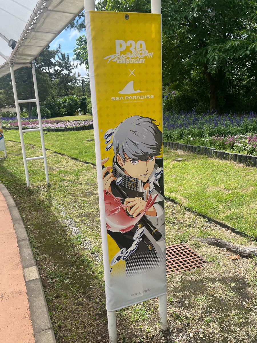鯖が好き tweet media