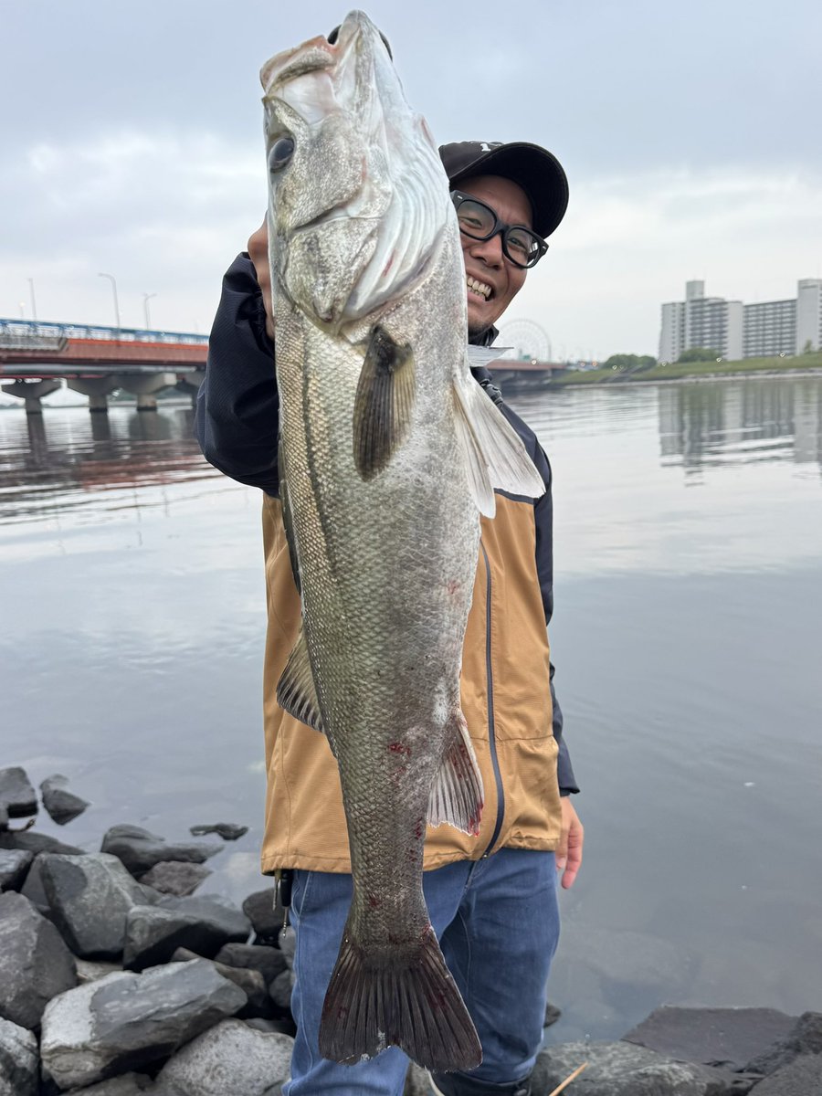 eiji0313's tweet photo. 旧江戸川のシーバス&amp;チニング🎣

超久しぶりにシーバス釣れた‼️

#旧江戸川シーバス
#東京湾奥シーバス 
#アブガルシア 
#abugarcia 
#abugarciareels https://t.co/ODDlCdcSds