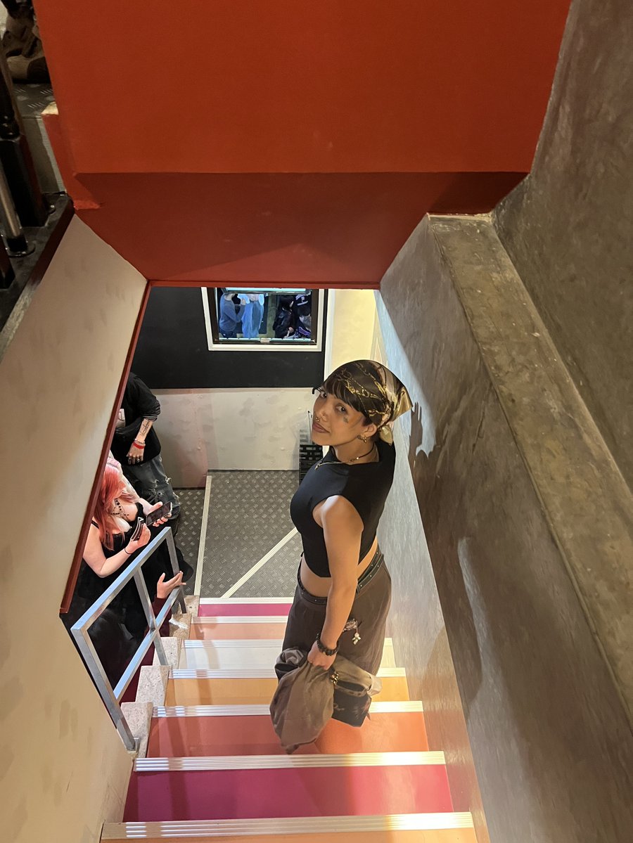 gardeninvenus's tweet photo. i was at the lesbian stairs https://t.co/xMxIXaPyxk