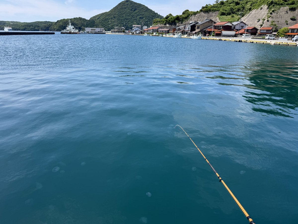 keshi_tk's tweet photo. 最終日、フェリーの時間までのんびり釣る(*´ω｀*) https://t.co/d8f763dNN4