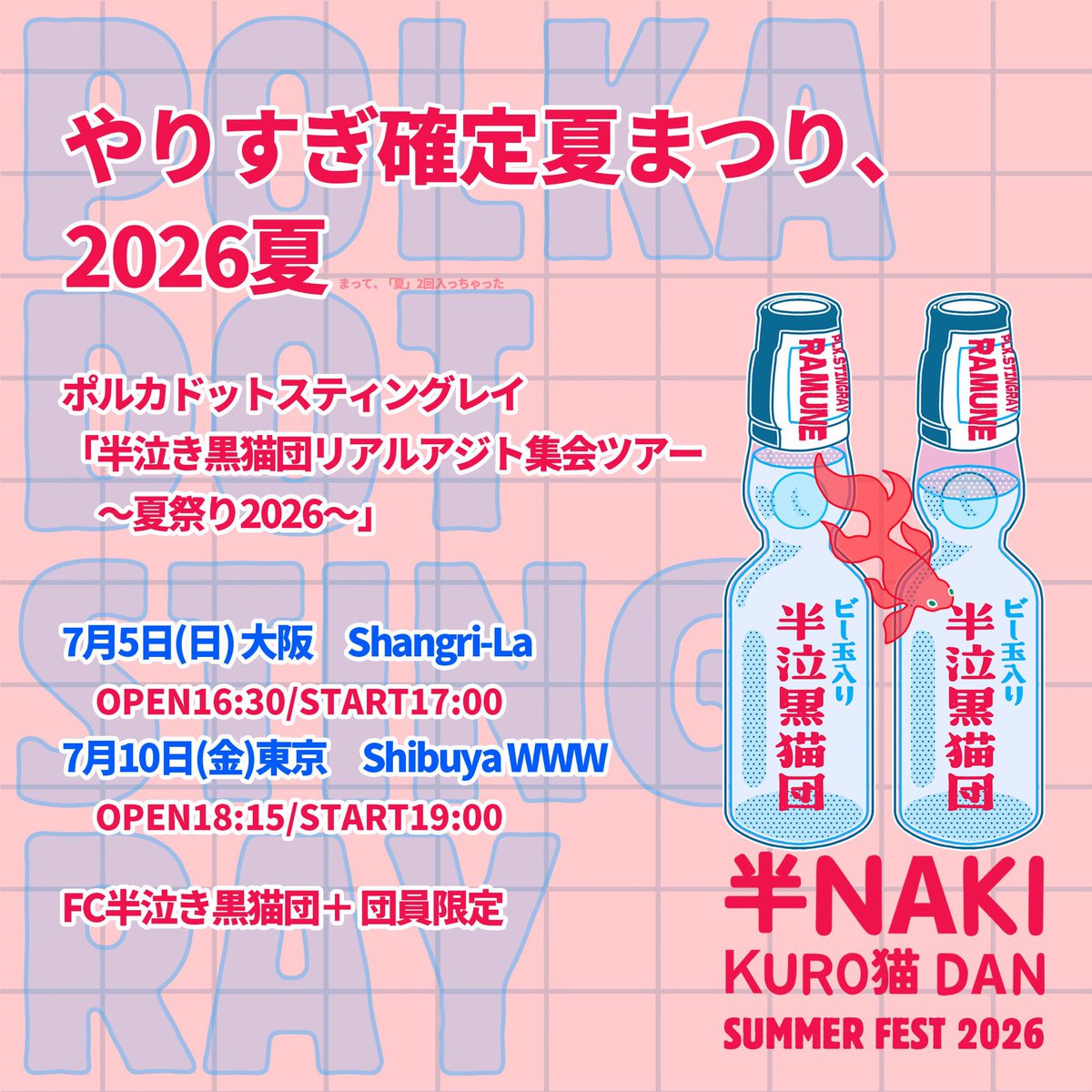 🍉一般販売受付は本日から🍉 