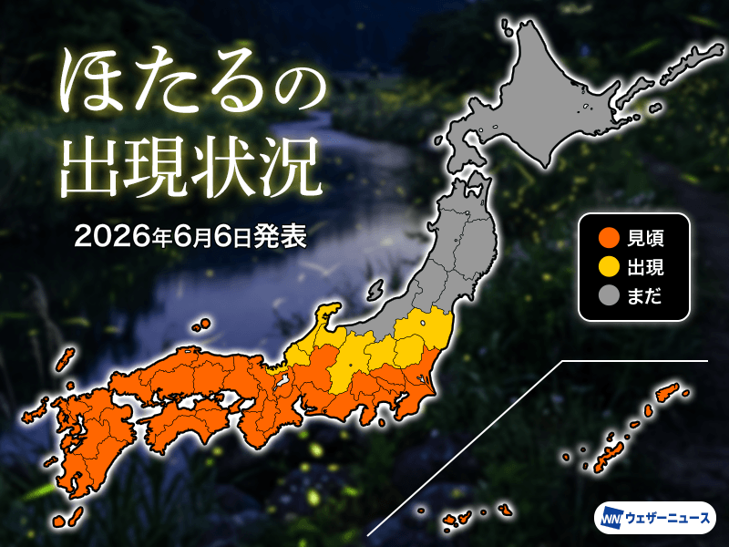 wni_jp's tweet photo. 【蛍に台風6号の影響は？】
西日本や東日本は蛍の数が増加し、関東甲信でもピークに近づいてきたようです。
ウェザーニュースのアンケート調査によると、一部で台風6号による大雨などの影響も。ただ、荒天に負けず、多くの地域で引き続き蛍が舞っていることがわかりました。
https://t.co/xdM5hh4RdR https://t.co/iteN9P3mbG