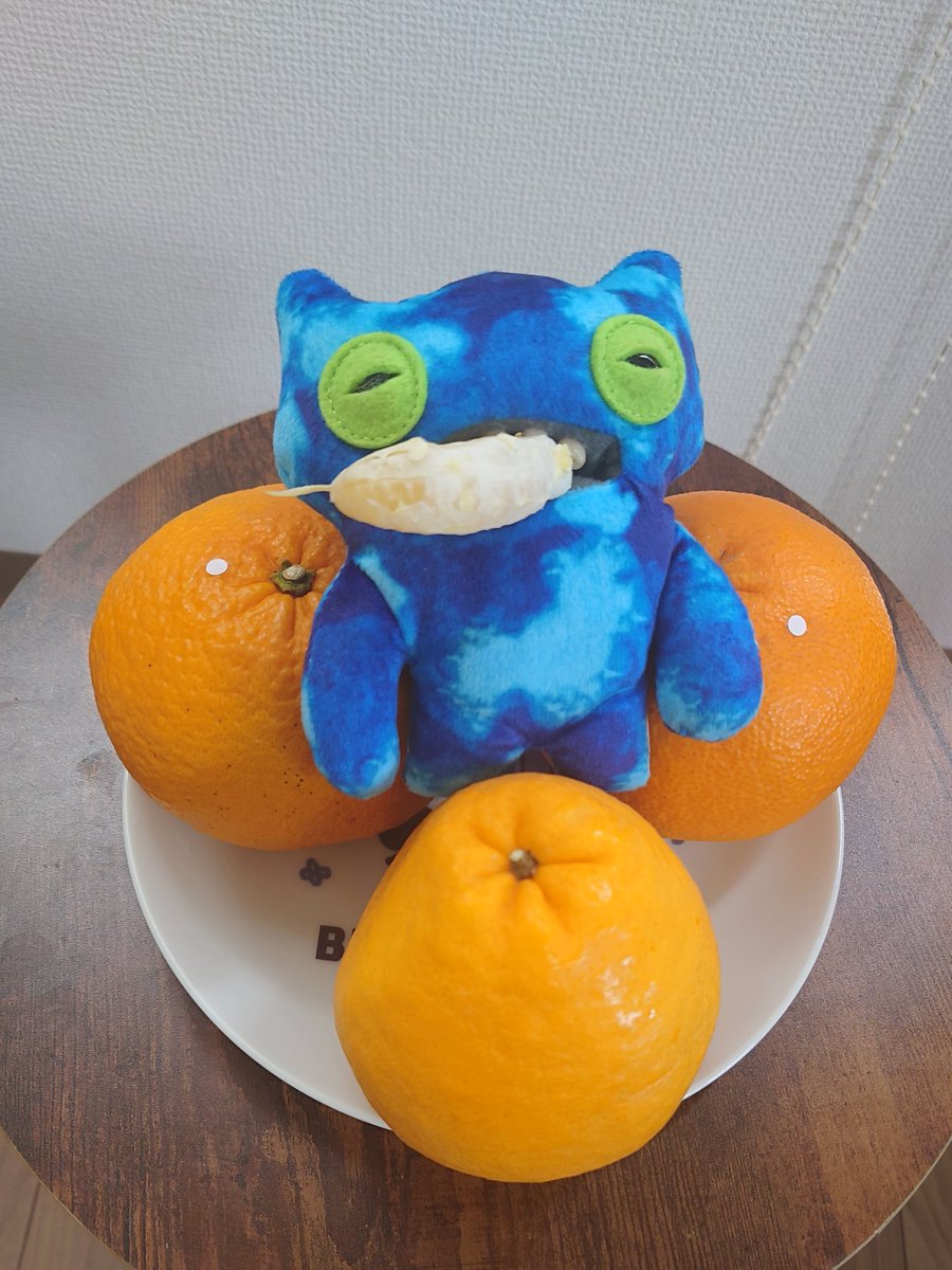 わびさび様 Post by わびさび on X: 甘夏🍊