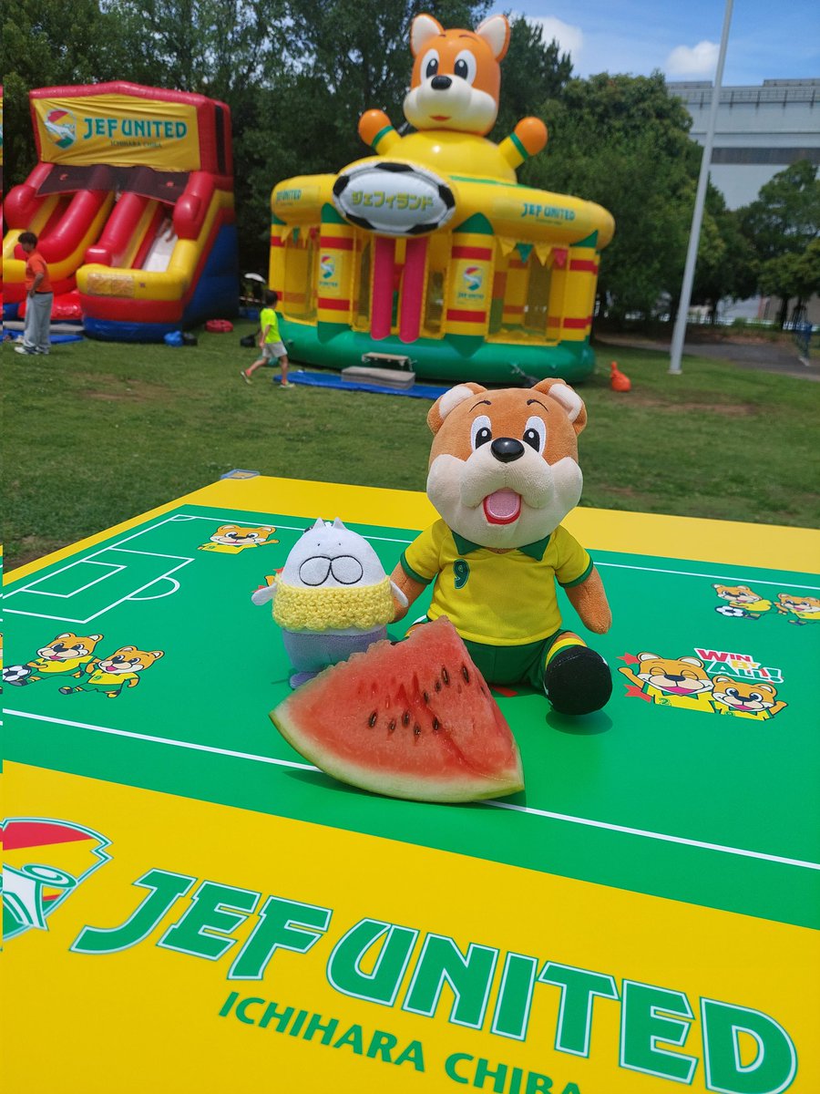 ayumu307010's tweet photo. スイカ🍉を貰った ねこタイツさん！

嬉しそうです🎶

 #ねこタイツ
 #jefunited
 #フクアリ https://t.co/psm4wgit9Y