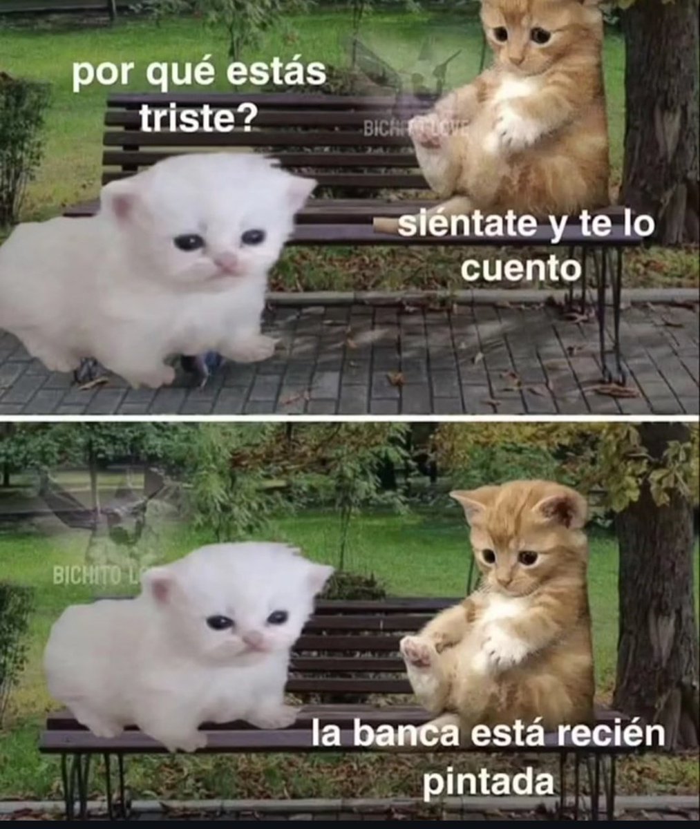 eldolardiario's tweet photo. https://t.co/mpLStFQS8t