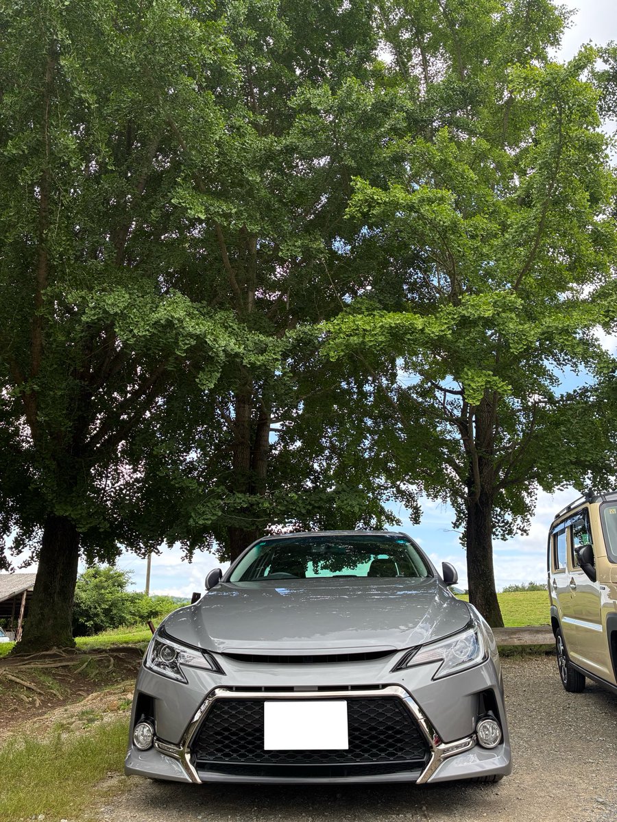 hamo31206996's tweet photo. 今日のマークX☀️ https://t.co/VxqJjK3jzu