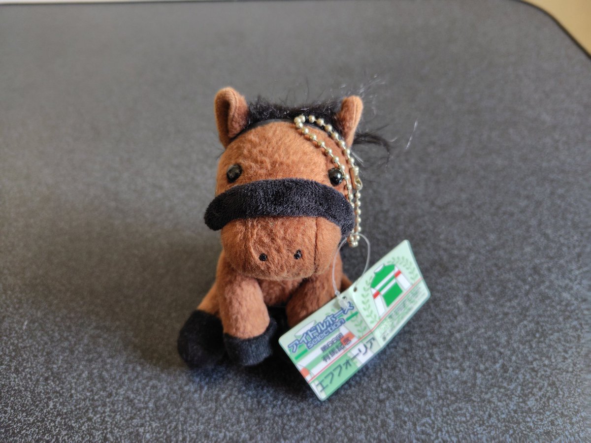 junsui1001's tweet photo. いよいよエフフォーリア産駒がデビューする…記念すべき初出走の鞍上が武史なのは感慨深いです https://t.co/i9BFk0yako