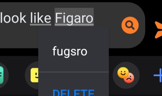 yitsuin's tweet photo. I was, in fact, trying to type figaro, which is deeply unfortunate. for both him and me. wow. happy birthday to him I guess. https://t.co/PJTLjpPtqj