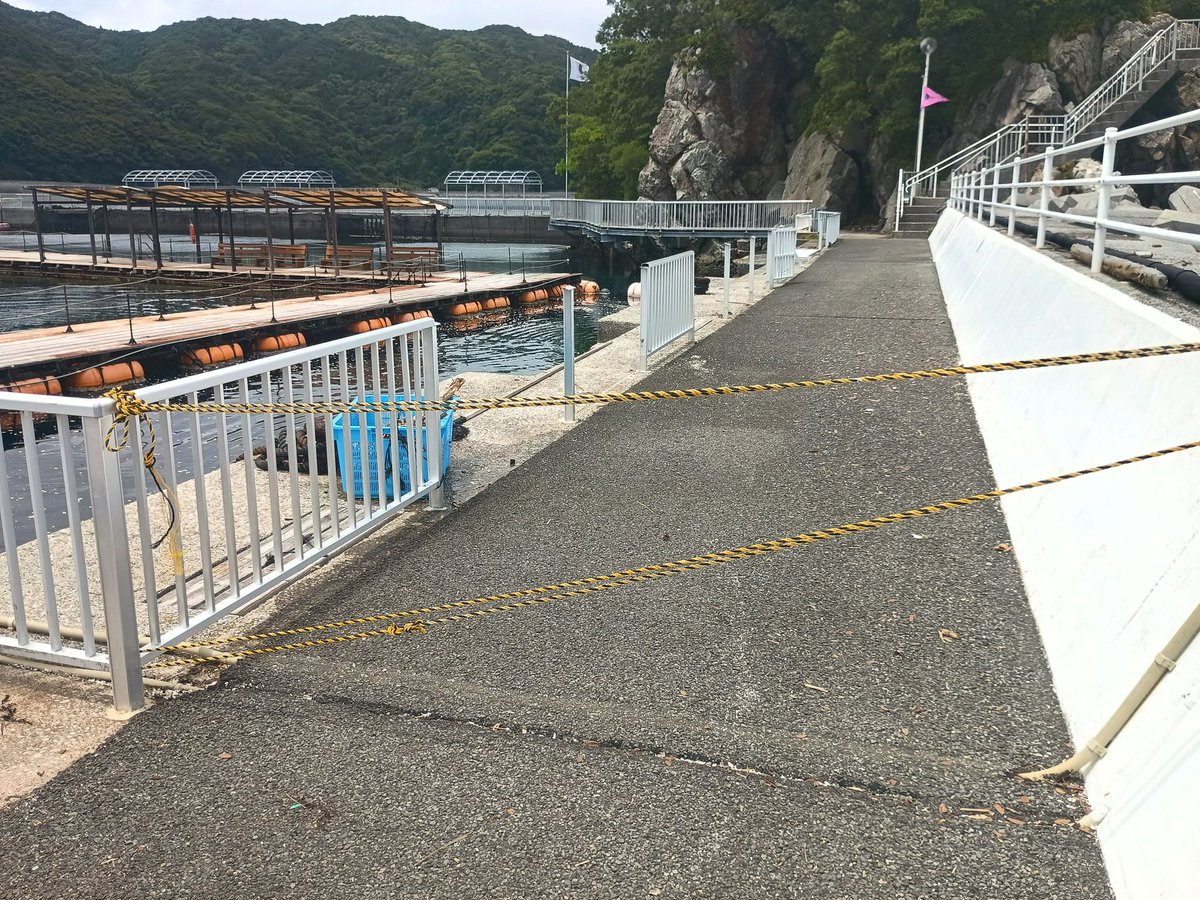 mapineko001's tweet photo. 台風の爪痕です。　高波が運んできた流木でこんな感じに https://t.co/PGZtQWr2eh