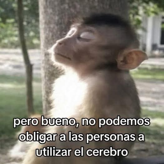 FraseSimple's tweet photo. https://t.co/jmlYuJv48h