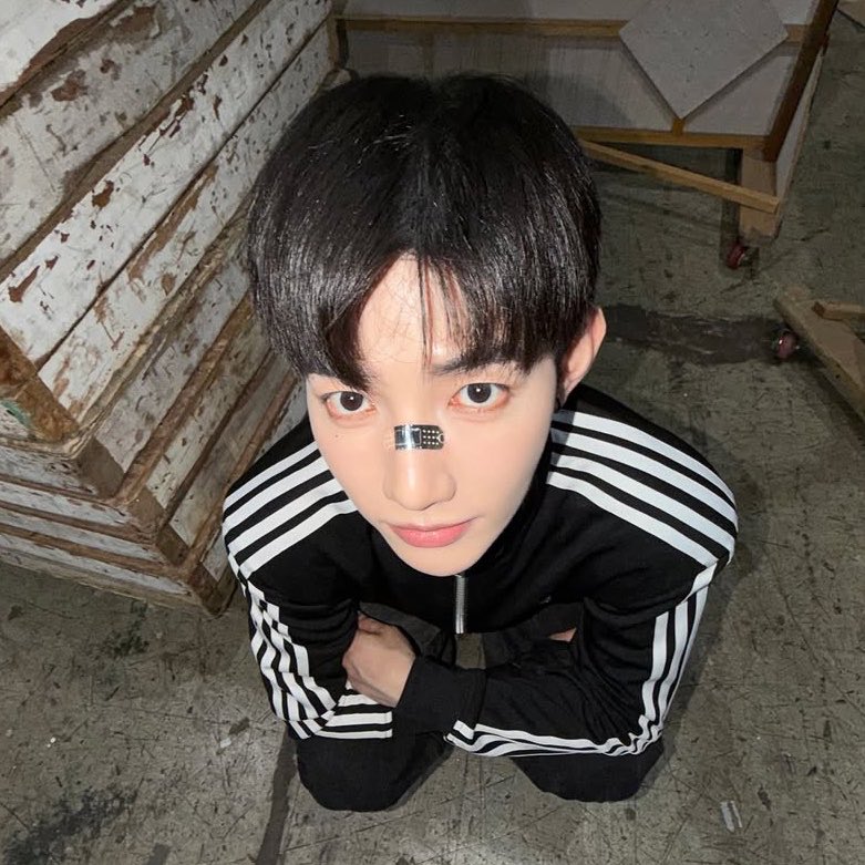 zzharing's tweet photo. 아니이런강아지잇으면무조건입덕이지.. https://t.co/3CEy0d2ufA