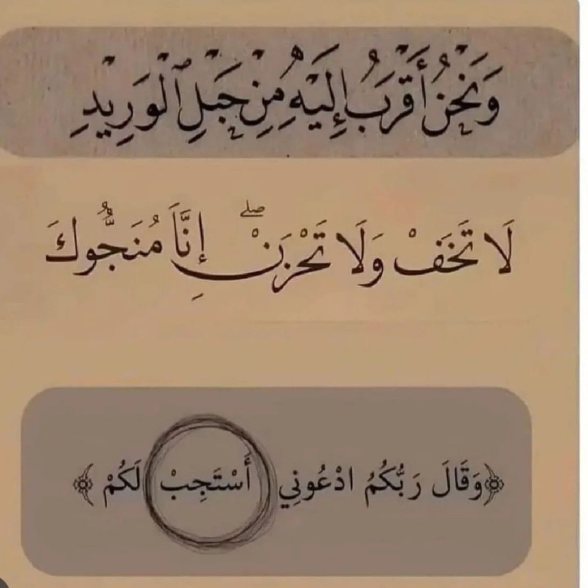 gemninve's tweet photo. تبدو السماءُ بعيدة.. غير أنَّ فوقها ربٌّ أقربُ إلينا من حبل الوريدِ ..

ولا يُطيّبُ الفؤادَ إلا الدعاءُ ..❤️‍🩹 https://t.co/nFGx0rwPDX