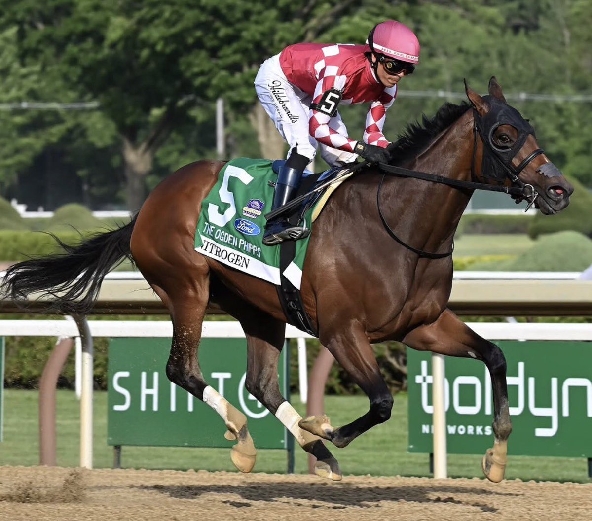 StakesWinners's tweet photo. 🏆 NITROGEN
(Jose Luis Ortiz - Mark Casse)
@Ford OGDEN PHIPPS STAKES 2026 ($500,000) Saratoga @TheNYRA @Saratoga1863 @jose93_ortiz @markecasse @DJ_Stable @DarleyStallions @BreedersCup @SteveRushing63 
📷 @coglianesephoto https://t.co/txsZJxzuMh