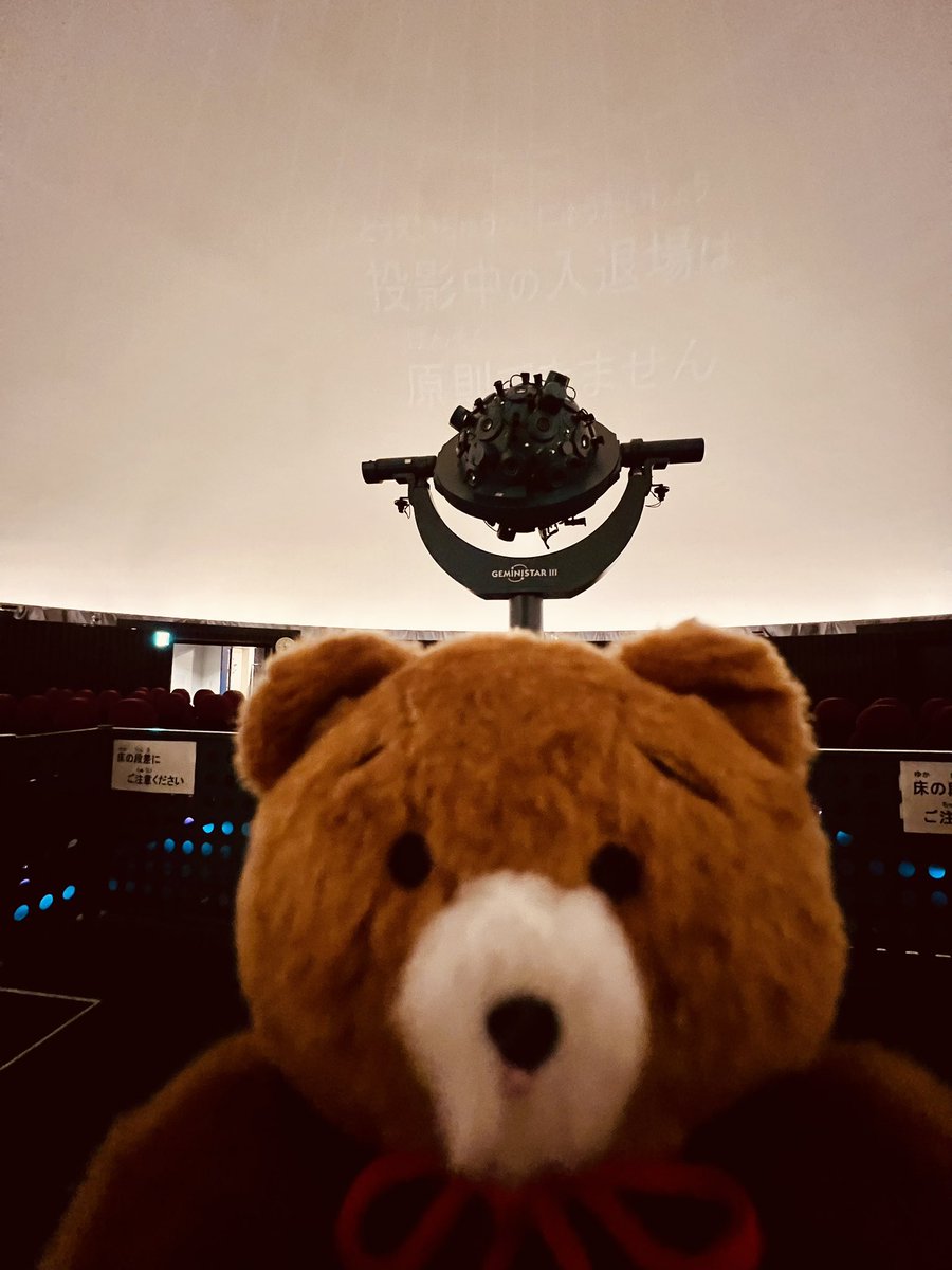 stella_wisteria's tweet photo. くまじーくん写真下手くそ選手権 https://t.co/cAZLeGzKlp