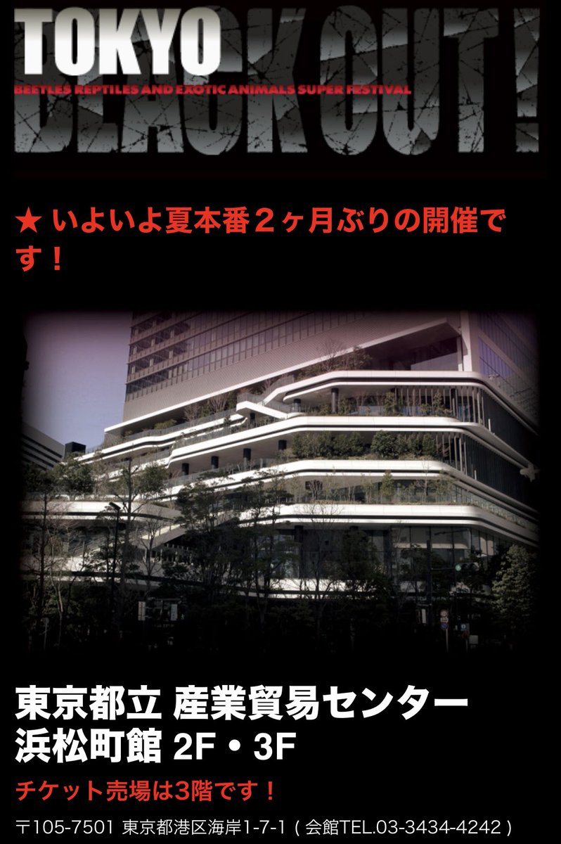 MoMoRep1's tweet photo. 明日７日は⁉️
ＢＯ浜松町館です👍

フクモモ大特価👍

当店ＣＢアオジタ沢山連れて行きます🫡
今しか見れないサイズです☺️

他爬虫類も沢山連れて行きます🫡

サヤちゃんの新作切り絵もあります👍

是非遊びに来て下さい🙏
＃ＢＯ浜松町館
＃アニマルハウスももれっぷ
＃フクモモ
＃アオジタ
＃爬虫類 https://t.co/cMrjxOgKQU