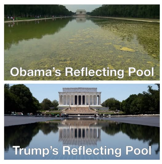JaclynCeee's tweet photo. @BarackObama So glad the scum is gone.
I'm talking about Hussein. https://t.co/nOmf8ctOgJ