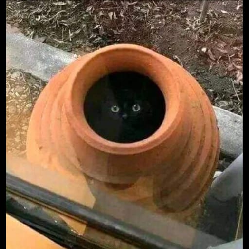 FreezKats's tweet photo. @NinyeTabz @SpireJim This is Na-food now viewing your page https://t.co/NsdNriRgdz