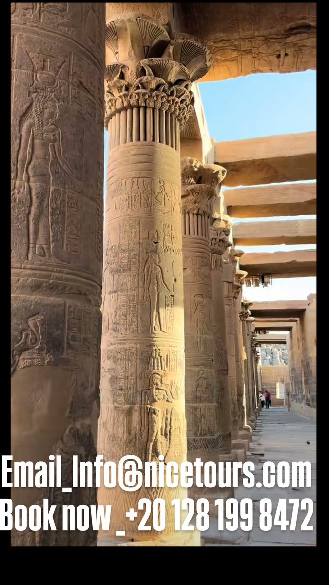 nice_tours1's tweet photo. Walking through history. 🇪🇬#touist #photoragher #felccca #fashion #moon #boat #ancient #madeinegypt #history #egyptian #pyramids #thisisegypt #egypt #discover #artwork #temple #island #ready #magek #aswan #trip #interstingEmail_Info@nicetours.com
Book now _+20 128 199 8472 https://t.co/YWlAMnj7rl