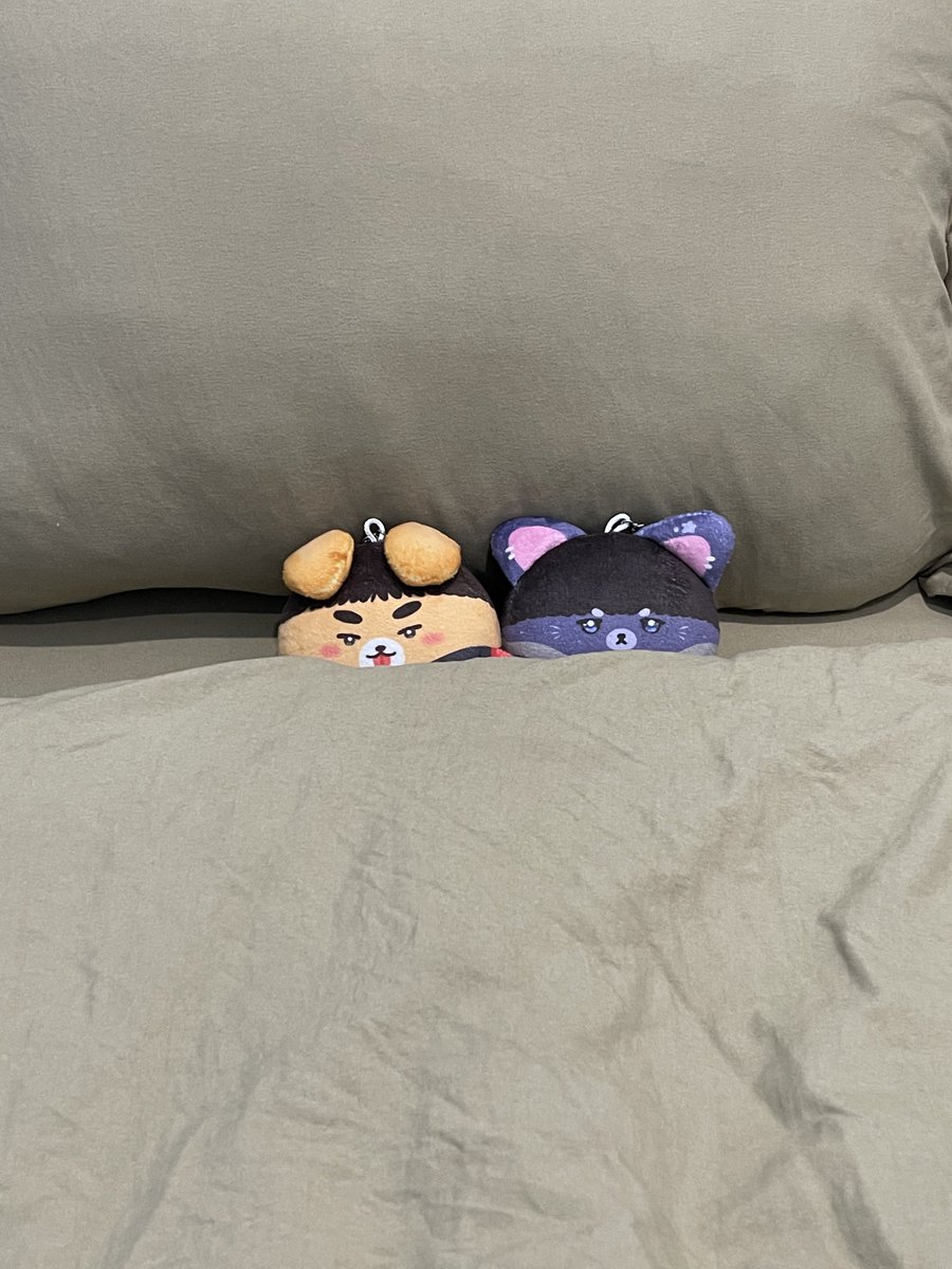 phanphiphung2's tweet photo. Their honeymoon 😭✨ https://t.co/BUZmKLXV5W