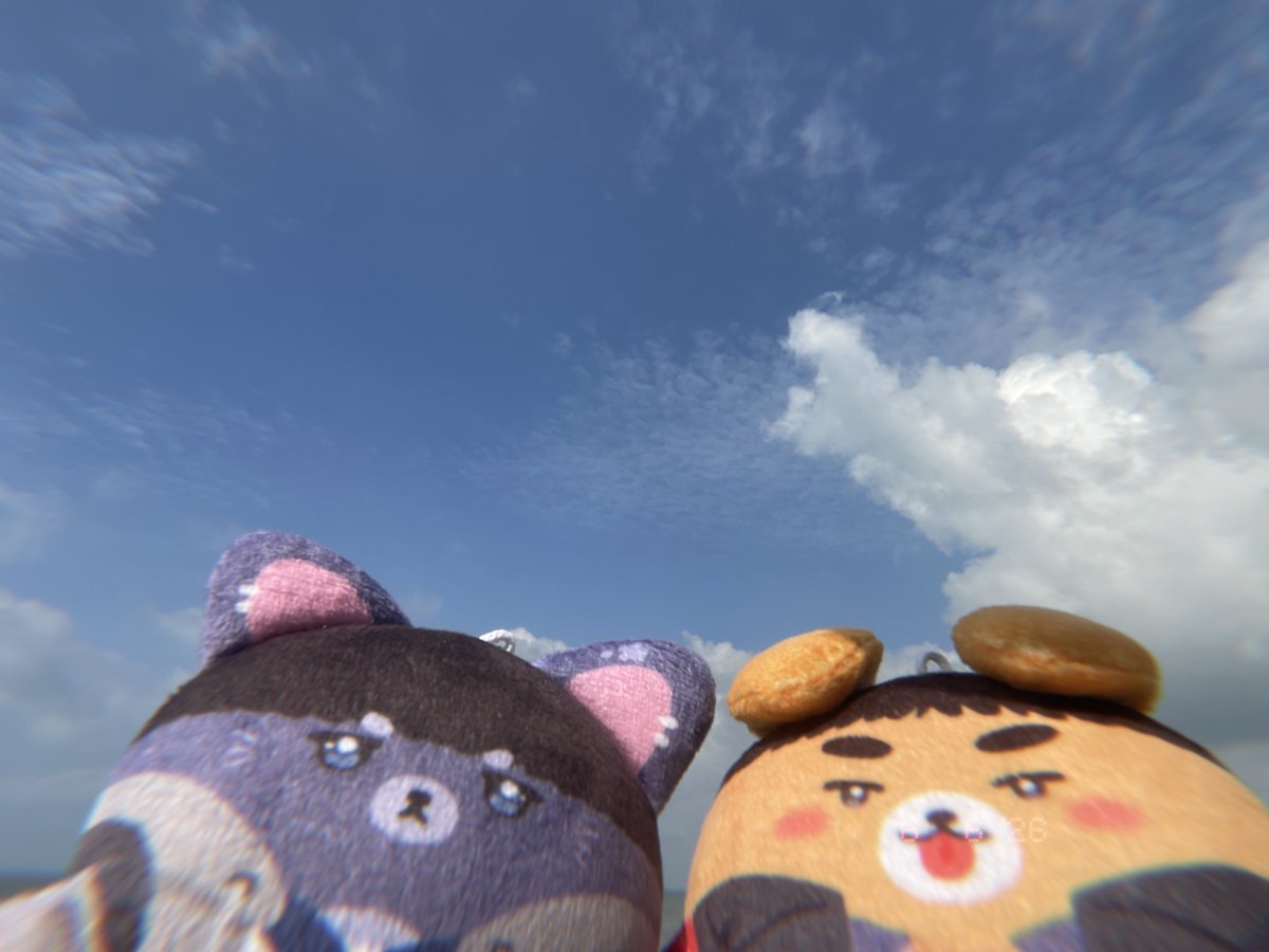 phanphiphung2's tweet photo. Their honeymoon 😭✨ https://t.co/BUZmKLXV5W