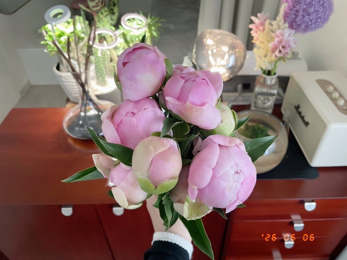 8136th's tweet photo. お部屋に向かう前にお花屋さんで
かわいいお子を買ってきましたᨳ﹅♥︎₊˚

忘れていましたがアプリから
今期最後になる芍薬も頼んでいたので
さきほど受け取りました⟡ ׄ ۪ ♡ ۫ ׅ
年間50万円くらいお花買ってます˚₊‧꒰ა𛰙᭜𖫴𖫰𖫱𖫳𖫲𖫲𖫳𖫴𖫰𖫱꛰ᩝ︪᭜𖫴𖫰𖫱𖫳𖫲𖫲𖫳𖫴𖫰𖫱꛰ᩝ𛰚໒꒱ ‧₊꙳ https://t.co/lc0WXZVrMf