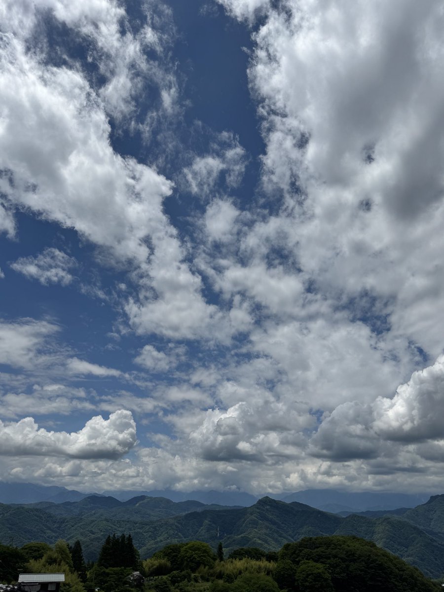 chankunbear's tweet photo. 良い気温 https://t.co/AJQXm4QYSY