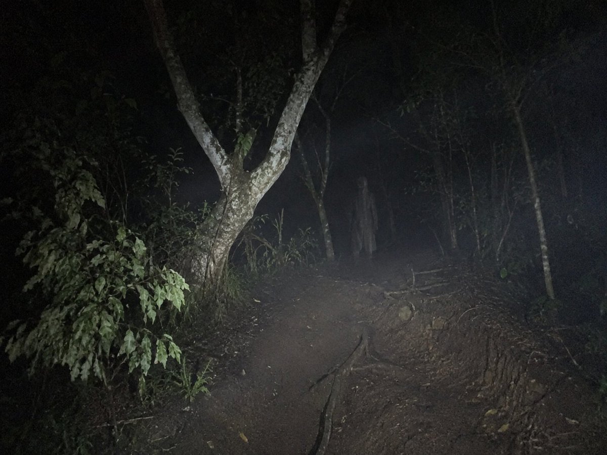 ParanormalArchv's tweet photo. --THREAD MISTERI--

⛰️👹Legenda Penunggu Hutan Taman Nasional Gunung Gede Pangrango👹⛰️

Kisah nyata dari para pendaki, penjaga hutan, dan peneliti — yang sampai hari ini belum bisa dijelaskan. https://t.co/ALp4UkUXpa