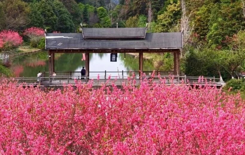 LifePhotograp13's tweet photo. 在江西，我找到了陶渊明笔下的“桃花源”！！！
有人说，在江西，能找到陶渊明笔下的“桃花源”。来江西，你便会明白，这并不是一句夸张的修辞。 https://t.co/N1liGliJiR
