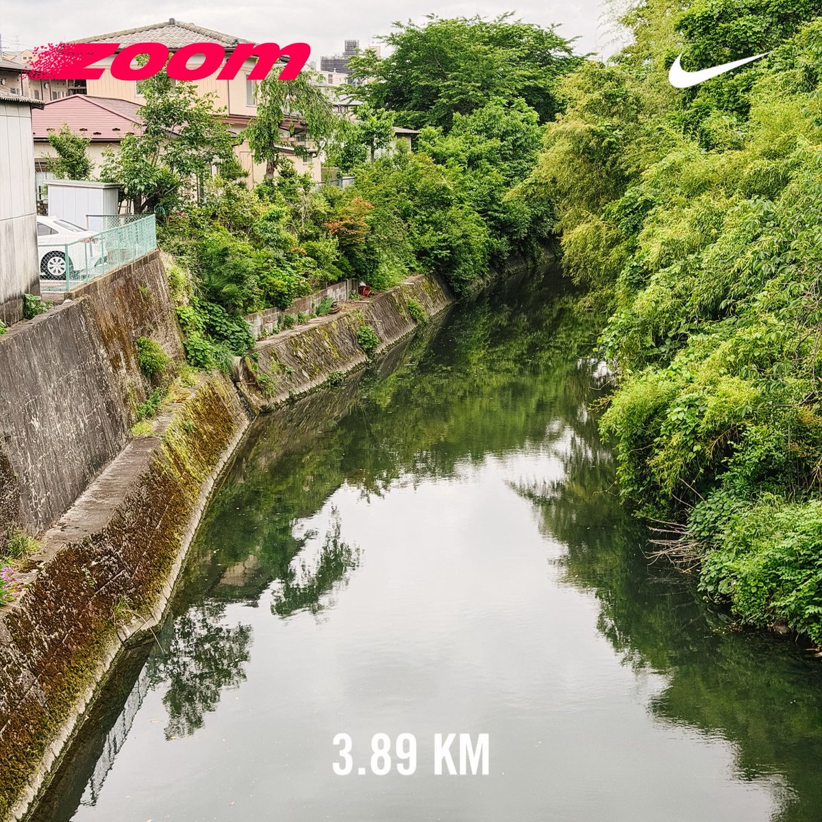 honda_graphics's tweet photo. #inemuriwalking https://t.co/k09jqRx13K