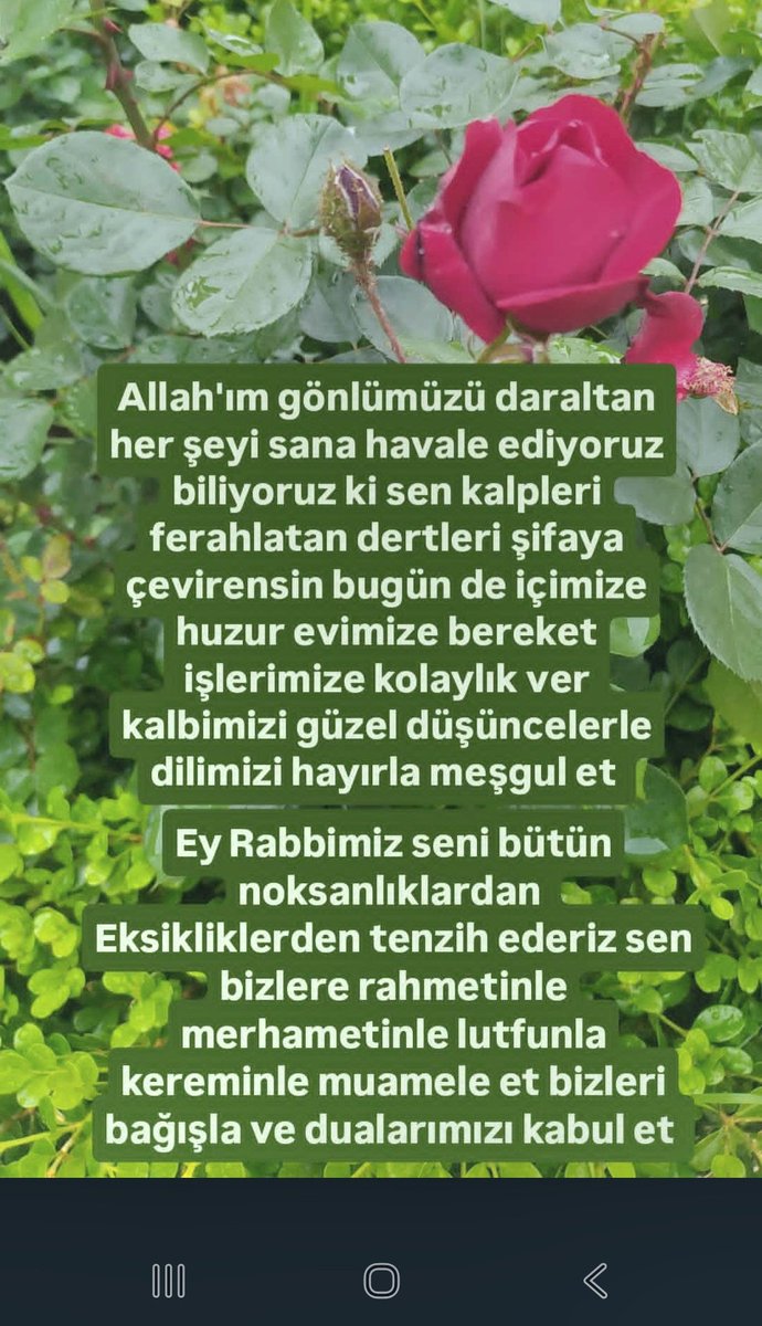 ozbek952's tweet photo. https://t.co/eXp60YCUSc