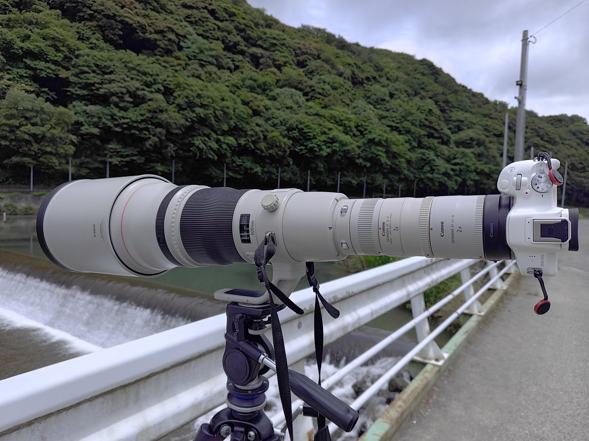 misutak5's tweet photo. マスターレンズが600mm、テレコン✕2✕2で2400mm+R50で換算3840mmだー！
ちなみにコレでも瞳AFが効く。 https://t.co/qNJr5Exstp