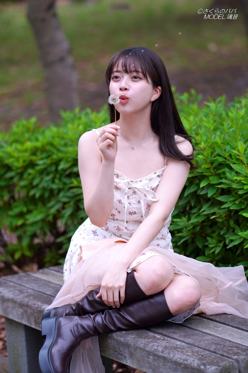 🇺🇦さくら🐇のパパ🇯🇵高配当株に移行中🇺🇦 (@K70_55) / Posts / X